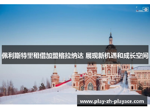 佩利斯特里租借加盟格拉纳达 展现新机遇和成长空间